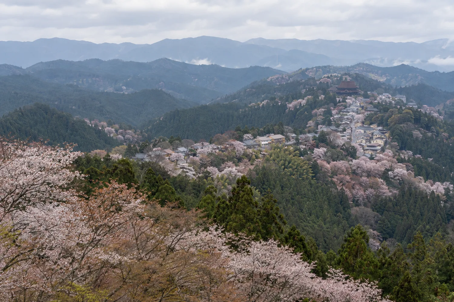 Nara-inspired illustrative landscape